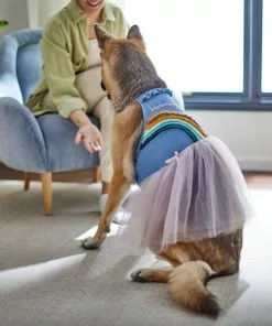 Frisco Rainbow Denim Dog & Cat Dress -Dog Cat Corner 312144 PT8. SY630 V1644527534