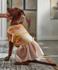 Frisco Tie Dye Pink Tutu Dog & Cat Dress -Dog Cat Corner 312152 PT8. SY630 V1644528801