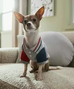 Frisco Nautical Polo Dog & Cat Shirt 15 Frisco Nautical Polo Dog & Cat Shirt -Dog Cat Corner 312160 PT8. SY630 V1644526421