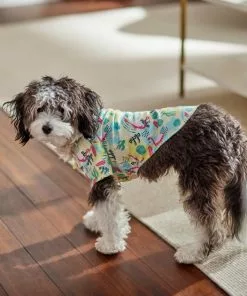 Frisco Flamingo Camp Dog & Cat Shirt -Dog Cat Corner 312176 PT8. SY630 V1644527708