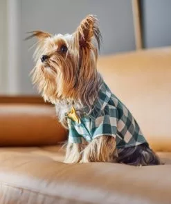 Frisco Boho Plaid Dog & Cat Shirt -Dog Cat Corner 312184 PT8. SY630 V1644524330