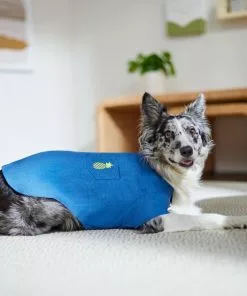 Frisco Chambray Pineapple Dog & Cat Shirt -Dog Cat Corner 312192 PT8. SY630 V1644526681