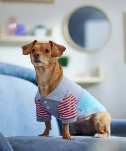 Frisco Striped Polo Dog & Cat Shirt -Dog Cat Corner 312208 PT8. SY630 V1644882482