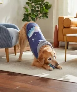 Frisco Starry Night Dog & Cat Hoodie -Dog Cat Corner 312216 PT8. SY630 V1644882274