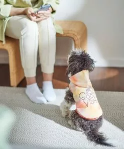 Frisco Good Vibes Dog & Cat Hoodie 15 Frisco Good Vibes Dog & Cat Hoodie -Dog Cat Corner 312224 PT8. SY630 V1644880111