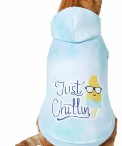 Frisco Just Chillin Dog & Cat Hoodie -Dog Cat Corner 312232 PT2. SY630 V1644878862