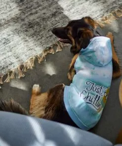 Frisco Just Chillin Dog & Cat Hoodie -Dog Cat Corner 312232 PT8. SY630 V1644881824