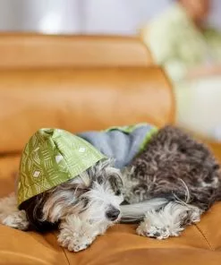 Frisco Green Southwest Dog & Cat Hoodie 15 Frisco Green Southwest Dog & Cat Hoodie -Dog Cat Corner 312248 PT8. SY630 V1644883113