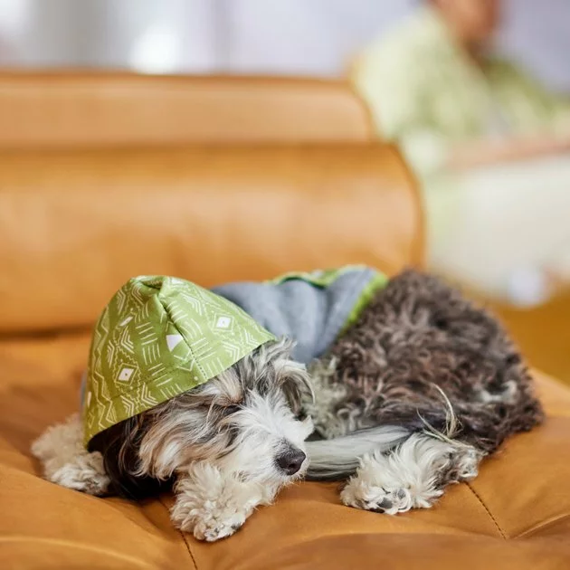 Frisco Green Southwest Dog & Cat Hoodie 9 Frisco Green Southwest Dog & Cat Hoodie - Image 7