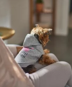 Frisco Nap Queen Dog & Cat Hoodie 15 Frisco Nap Queen Dog & Cat Hoodie -Dog Cat Corner 312256 PT8. SY630 V1644879419