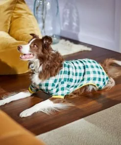 Frisco Boho Gingham Dog & Cat PJs -Dog Cat Corner 312272 PT8. SY630 V1644880063