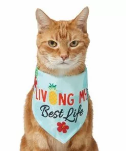 Frisco Living My Best Life Dog & Cat Bandana 10 Frisco Living My Best Life Dog & Cat Bandana -Dog Cat Corner 312288 PT2. SY630 V1644884916