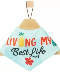 Frisco Living My Best Life Dog & Cat Bandana 11 Frisco Living My Best Life Dog & Cat Bandana -Dog Cat Corner 312288 PT3. SY630 V1644883285