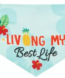 Frisco Living My Best Life Dog & Cat Bandana 12 Frisco Living My Best Life Dog & Cat Bandana -Dog Cat Corner 312288 PT4. SY630 V1644882738