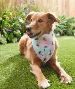 Frisco Palm Tree Dog & Cat Bandana -Dog Cat Corner 312291 PT8. SY630 V1644881007