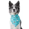Frisco Spring Floral Dog & Cat Bandana -Dog Cat Corner 312294 MAIN. SY630 V1644879397