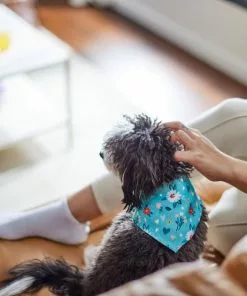 Frisco Spring Floral Dog & Cat Bandana -Dog Cat Corner 312294 PT8. SY630 V1644881583