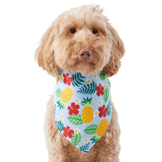 Frisco Hawaiian Pineapple Dog & Cat Bandana 3 Frisco Hawaiian Pineapple Dog & Cat Bandana