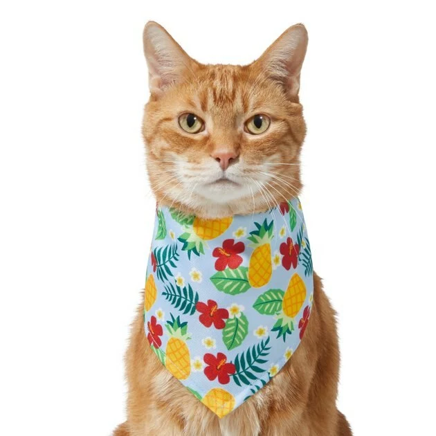 Frisco Hawaiian Pineapple Dog & Cat Bandana 5 Frisco Hawaiian Pineapple Dog & Cat Bandana - Image 3