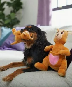 Frisco Kangaroo & Joey Plush Squeaky Dog Toy, 2 count -Dog Cat Corner 312899 PT3. SY630 V1638987688