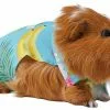 Frisco Pineapple Hawaiian Camp Guinea Pig Shirt -Dog Cat Corner 313122 MAIN. SY630 V1644431496