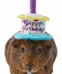Frisco Happy Birthday Guinea Pig Hat