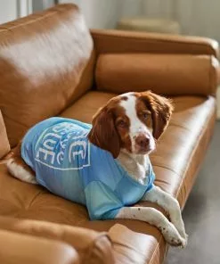 Frisco Peace Love Rescue Dog & Cat T-Shirt -Dog Cat Corner 315067 PT8. SY630 V1646349423