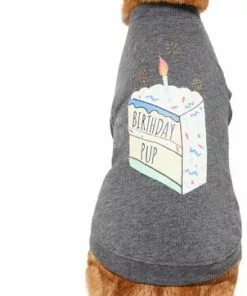 Frisco Birthday Pup Dog & Cat T-Shirt -Dog Cat Corner 315075 PT2. SY630 V1646438857