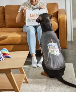 Frisco Birthday Pup Dog & Cat T-Shirt -Dog Cat Corner 315075 PT8. SY630 V1646442759