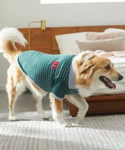 Frisco Green Rugby Dog & Cat Polo Shirt -Dog Cat Corner 315083 PT8. SY630 V1646437999