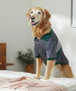 Frisco Green Striped Polo Dog & Cat Shirt -Dog Cat Corner 315091 PT8. SY630 V1646434389