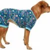 Frisco Celebration Dog & Cat PJs 1 Frisco Celebration Dog & Cat PJs -Dog Cat Corner 315100 MAIN. SY630 V1646437297