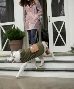 Frisco Olive Reversible Packable Dog Raincoat -Dog Cat Corner 315116 PT8. SY630 V1646435907