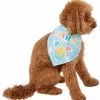 Frisco Birthday Pup Dog & Cat Bandana