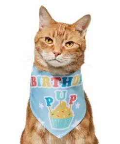 Frisco Birthday Pup Dog & Cat Bandana -Dog Cat Corner 315130 PT2. SY630 V1646437964
