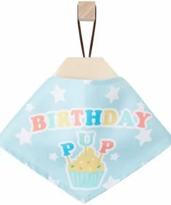 Frisco Birthday Pup Dog & Cat Bandana -Dog Cat Corner 315130 PT4. SY630 V1646441905