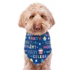 Frisco Celebration Dog & Cat Bandana -Dog Cat Corner 315133 MAIN. SY630 V1646438946