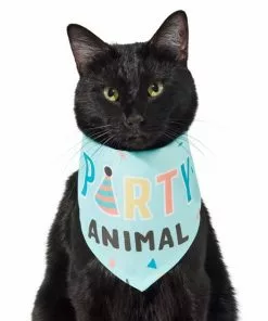 Frisco Party Animal Dog & Cat Bandana -Dog Cat Corner 315136 PT2. SY630 V1646438016