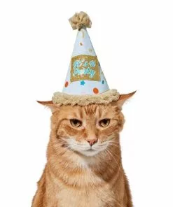 Frisco It's a Party Animal Dog & Cat Hat -Dog Cat Corner 315139 PT3. SY630 V1646434023
