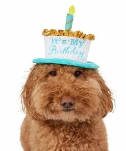 Frisco It's My Birthday Dog & Cat Hat -Dog Cat Corner 315142 PT2. SY630 V1646436466