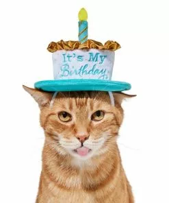 Frisco It's My Birthday Dog & Cat Hat -Dog Cat Corner 315142 PT3. SY630 V1646437287