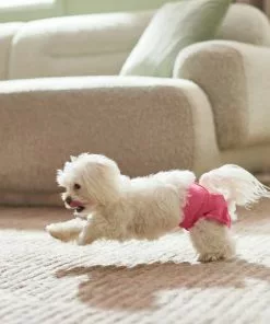 Frisco Washable Female Diaper, Flamingo, 3pk -Dog Cat Corner 315700 PT3. SY630 V1644883551