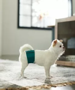 Frisco Washable Male Wrap, Whales, 3pk -Dog Cat Corner 315706 PT3. SY630 V1644882254