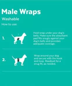 Frisco Washable Male Wrap, Whales, 3pk -Dog Cat Corner 315706 PT4. SY630 V1644880016
