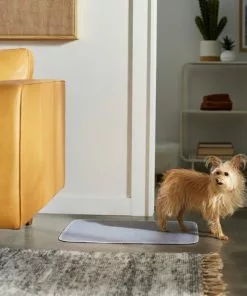 Frisco Washable Dog Potty Pads, 2pk, Unscented -Dog Cat Corner 315712 PT3. SY630 V1644880410