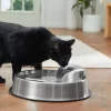 Frisco Stainless Steel Round Dog & Cat Fountain, 1 Gallon -Dog Cat Corner 316358 MAIN. SY630 V1637607391