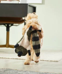 Frisco Fur Really Real Raccoon Plush Squeaky Dog Toy -Dog Cat Corner 316925 PT2. SY630 V1641400901