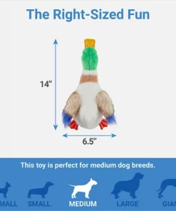 Frisco Fur Really Real Mallard Plush Squeaky Dog Toy 6 Frisco Fur Really Real Mallard Plush Squeaky Dog Toy -Dog Cat Corner 316927 PT1. SY630 V1641400601