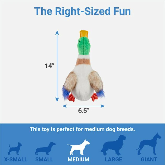 Frisco Fur Really Real Mallard Plush Squeaky Dog Toy 4 Frisco Fur Really Real Mallard Plush Squeaky Dog Toy - Image 2