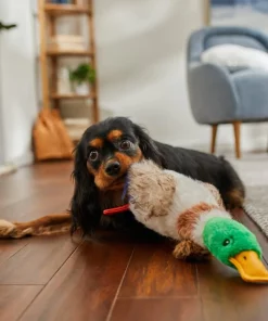 Frisco Fur Really Real Mallard Plush Squeaky Dog Toy 7 Frisco Fur Really Real Mallard Plush Squeaky Dog Toy -Dog Cat Corner 316927 PT2. SY630 V1641400912